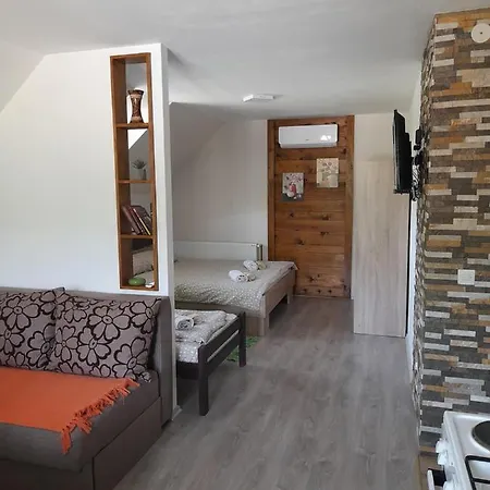 Apartmani Petar Mokra Gora Exterior photo
