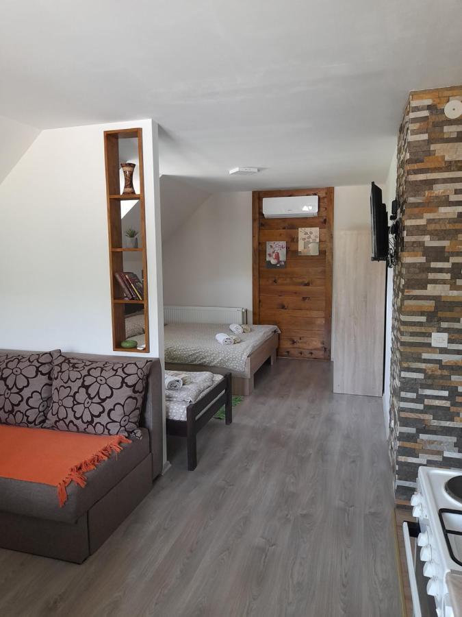 Petar Apartment Mokra Gora