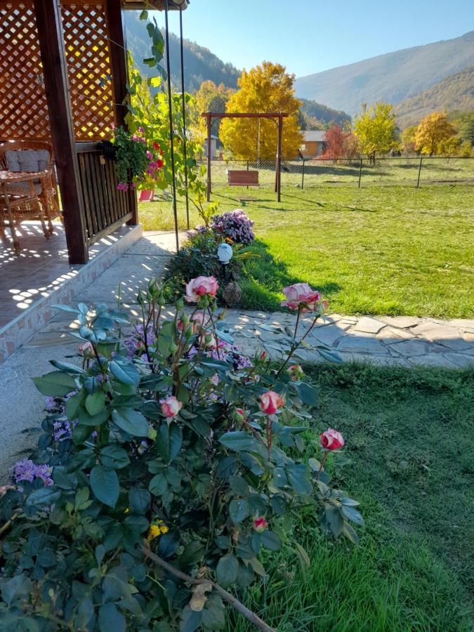 Apartment Petar Mokra Gora